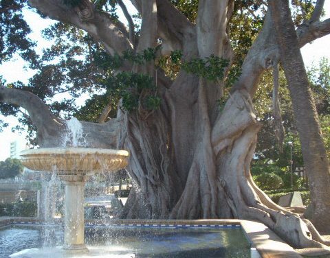 La Alameda Apodaca: el jardín de Cádiz que cuelga al mar.