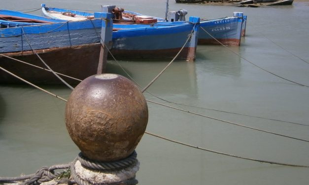 Proyección del documental Costas del Sur: la almadraba gaditana