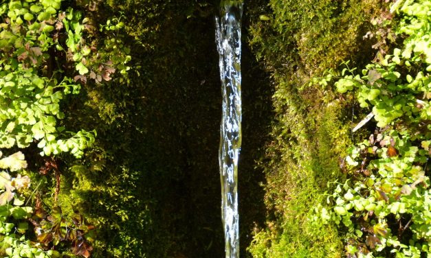 10 paisajes del agua en la sierra gaditana.