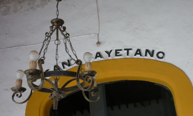 Bodegas y viñas jerezanas