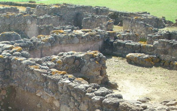 Visita al yacimiento fenicio de Doña Blanca y Bodegas Obregón