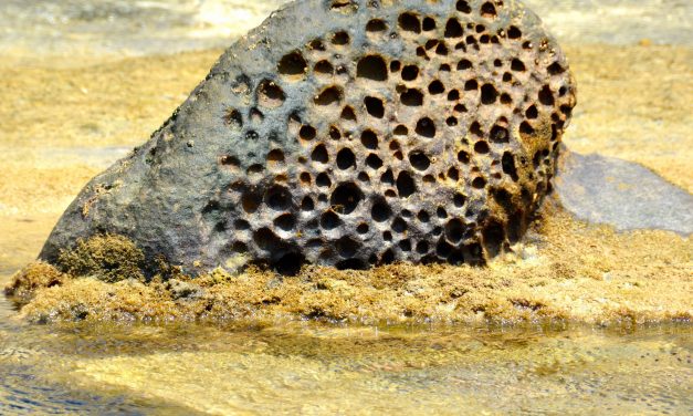 Un chapuzón en el Flysch de Tarifa.